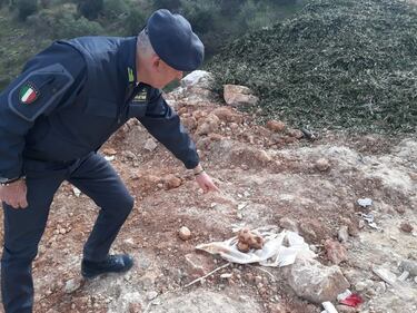 Andria, le immagini della discarica a due passi dal centro abitato 5