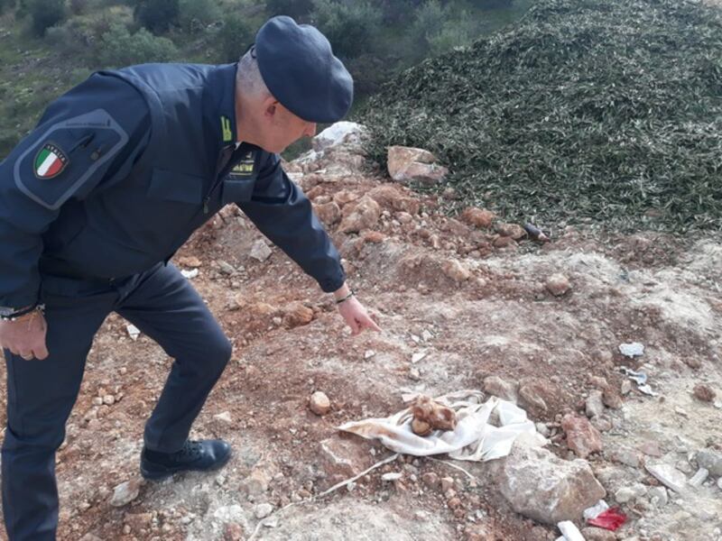 Andria, le immagini della discarica a due passi dal centro abitato 5