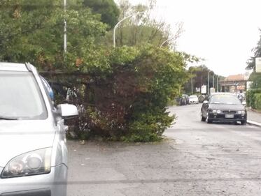 I danni del maltempo a Roma 2