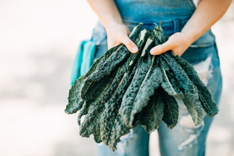 Cavolo nero