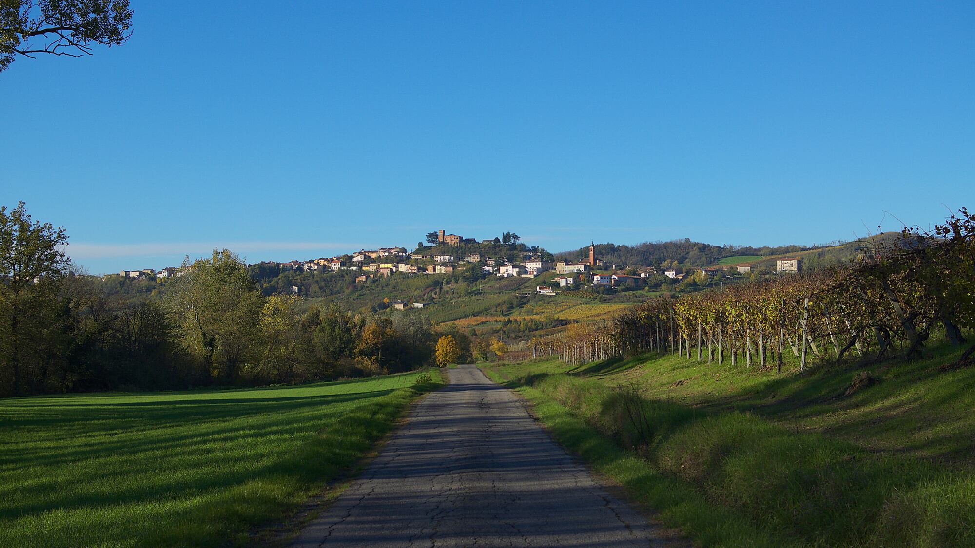 Un reality olandese fa diventare l'Oltrepò paese del Bengodi