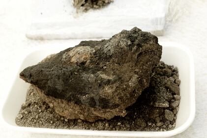 La piccola Pompei romana emerge dagli scavi della metro 4