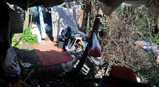 Roma, il degrado del parco naturale del Pineto 9