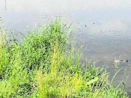 Rapina e stupro: l'incubo nel parco. "Era straniero". È caccia all'uomo