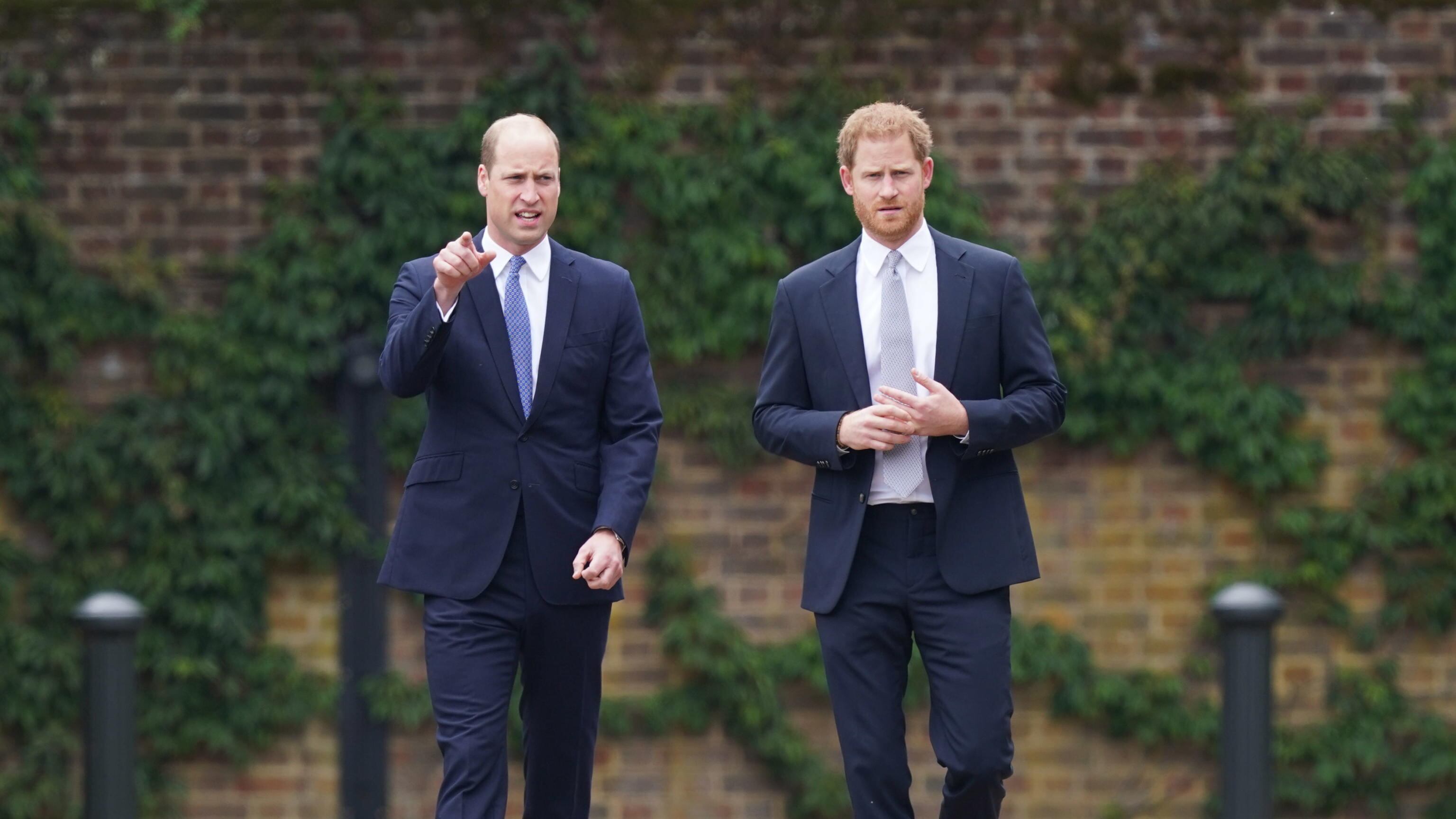 Il principe Harry potrebbe rinunciare ai suoi titoli