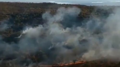 Amazzonia è in fiamme: la foresta brucia da giorni