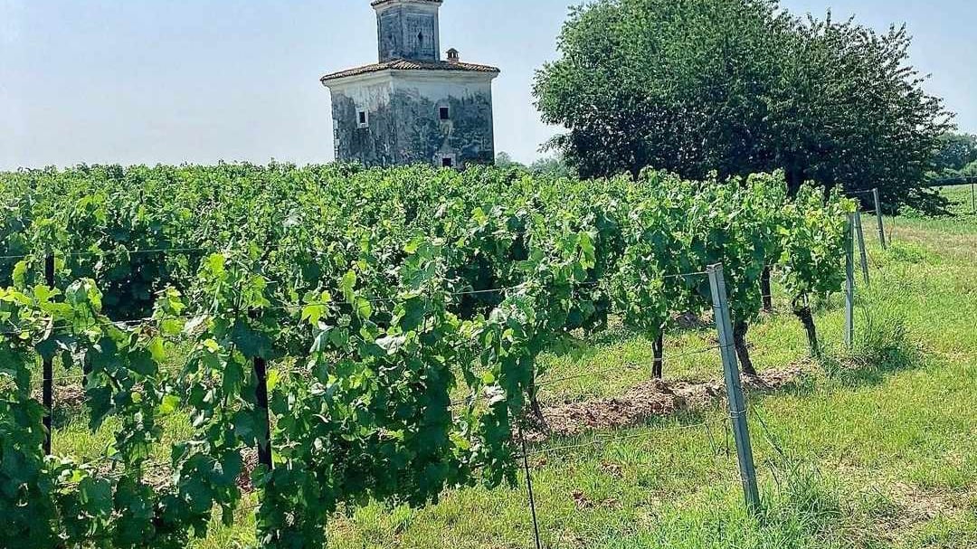 Demetra, il Franciacorta senza solfiti