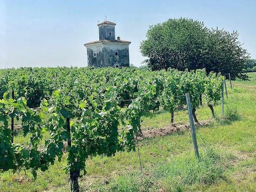 Demetra, il Franciacorta senza solfiti