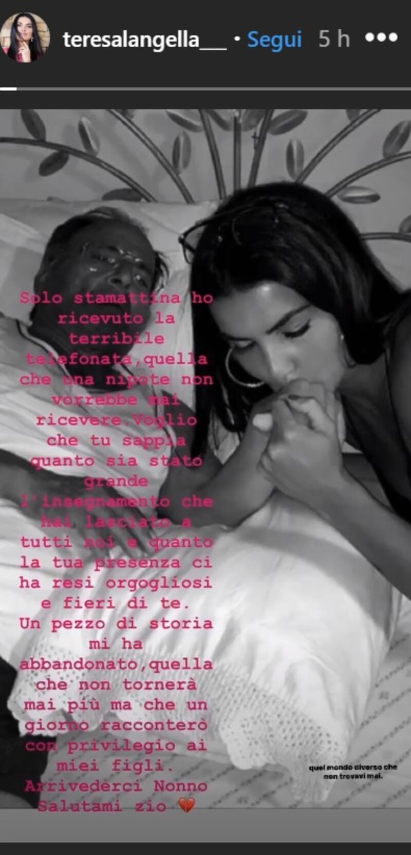 Teresa Langella dichiarazione social