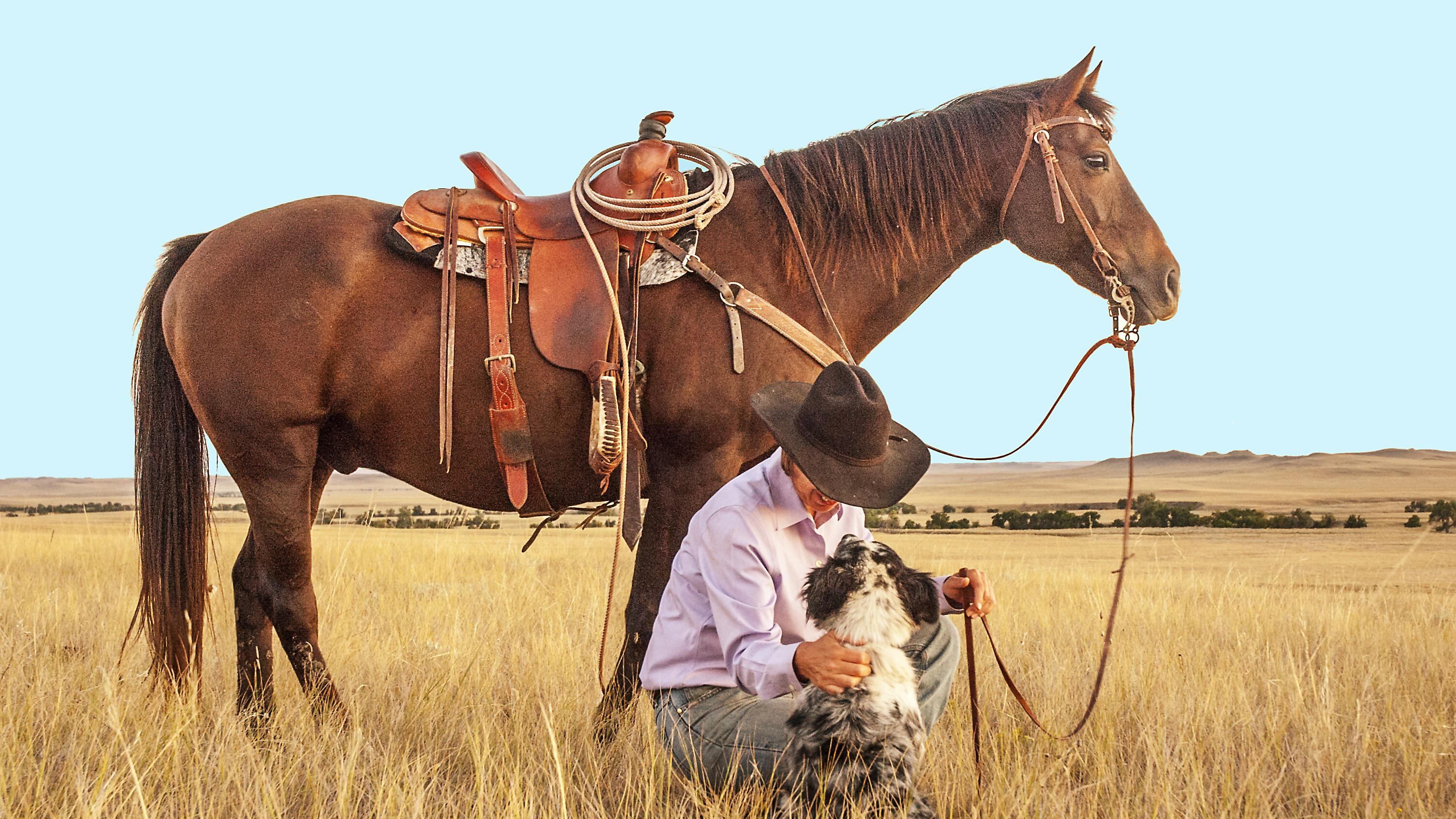 Gli ultimi cowboy, così forti e così dolci