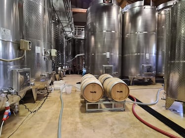 Langhe e Roero, le terre del Barolo e del Barbaresco 12