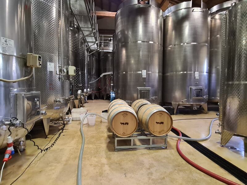 Langhe e Roero, le terre del Barolo e del Barbaresco 12