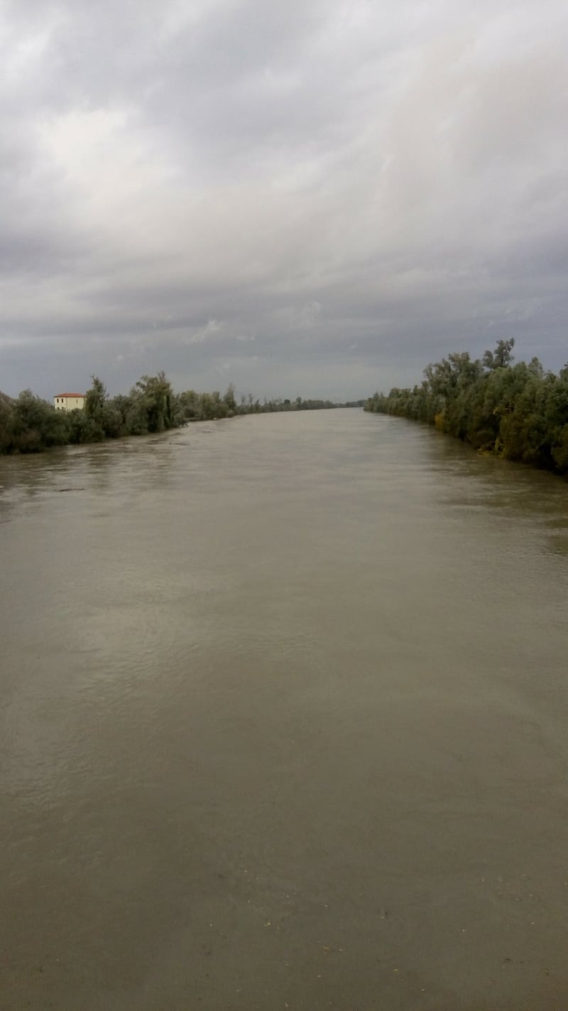 Maltempo in Veneto. Ponte della Priula: crolla il ponte 8