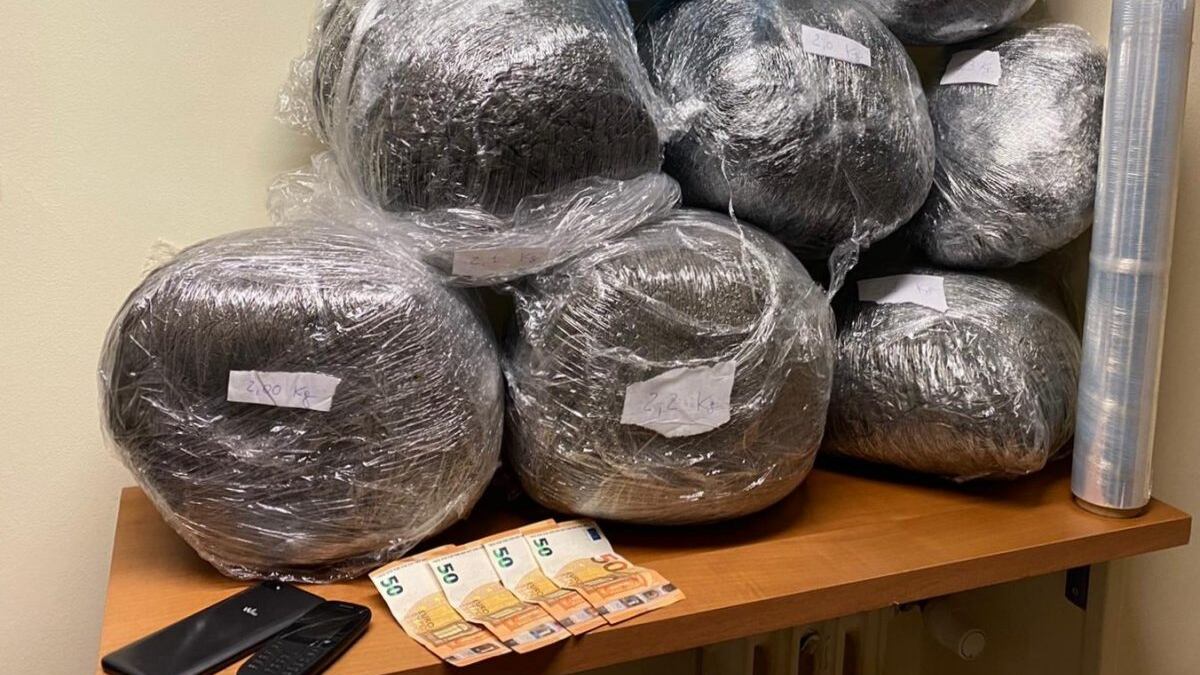 Roma, sgominata banda di pusher stranieri: oltre 13 chili di droga