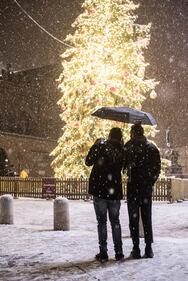 Bologna sotto la neve, le immagini 2