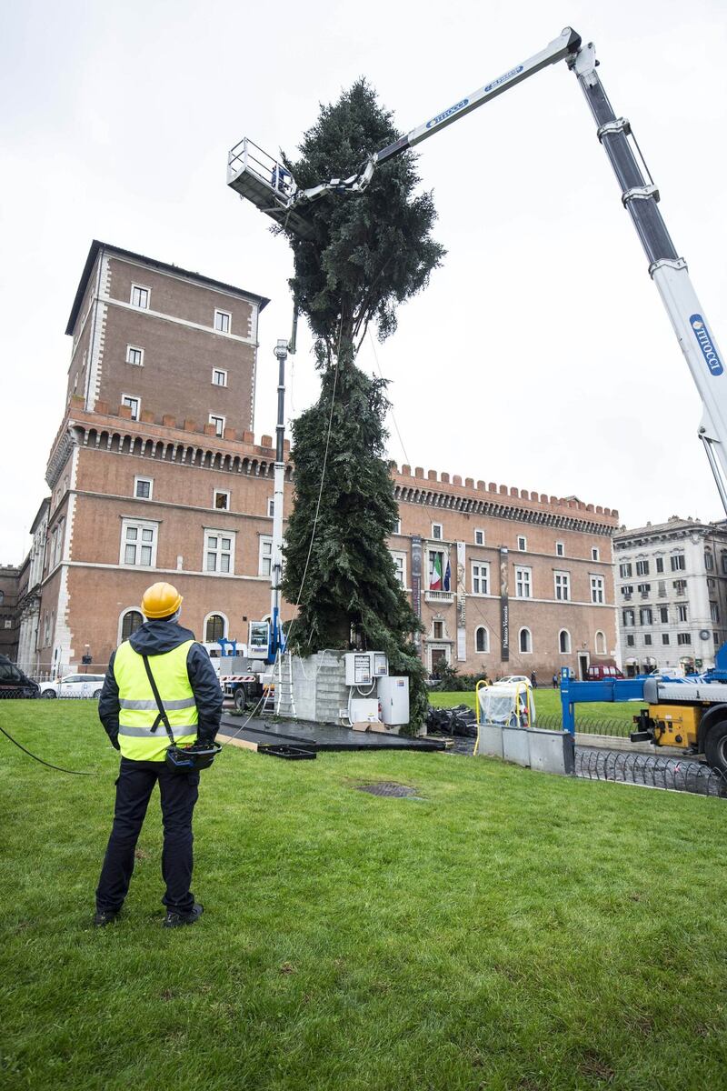 Il nuovo Spelacchio arriva a Roma, ma ha già i rami spezzati 10