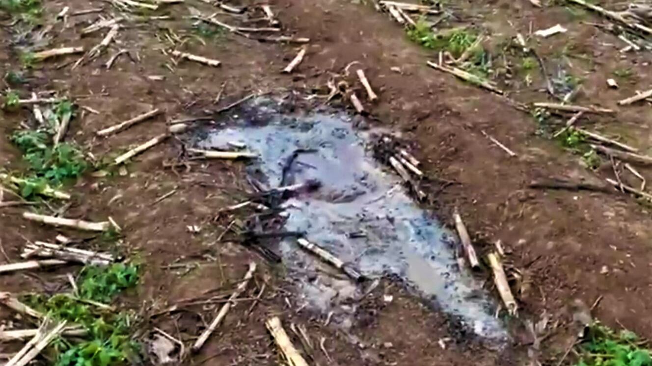 Un cadavere mummificato nei campi: il macabro ritrovamento