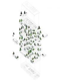 La Torre dei Cedri 7