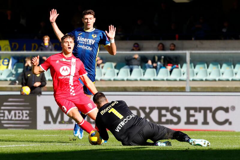 hellas verona monza