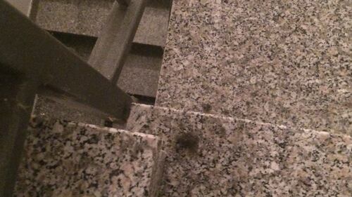 Gli immigrati si tagliano i capelli fuori dall'ascensore e i cittadini protestano 4