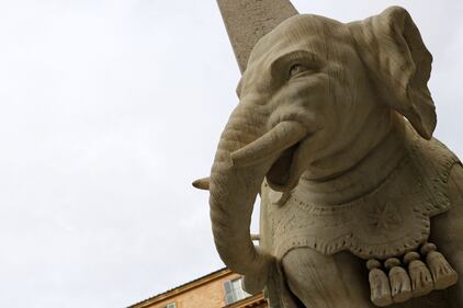 Roma, danneggiato l'Elefantino del Bernini 6