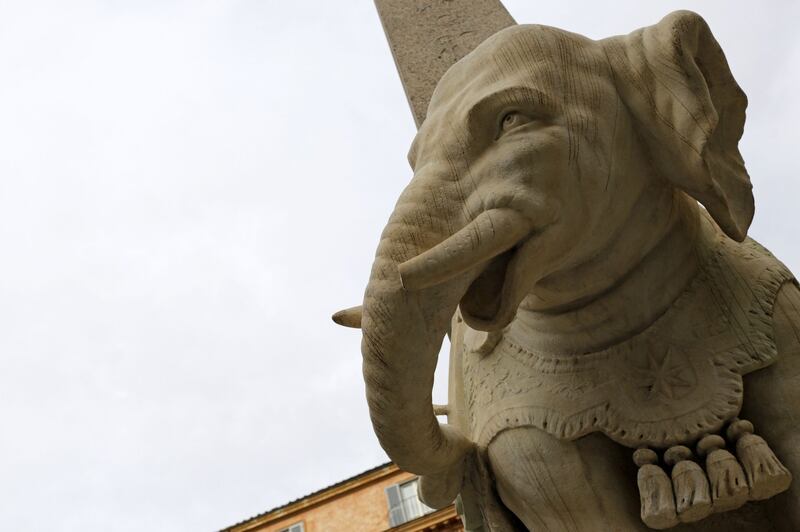 Roma, danneggiato l'Elefantino del Bernini 6