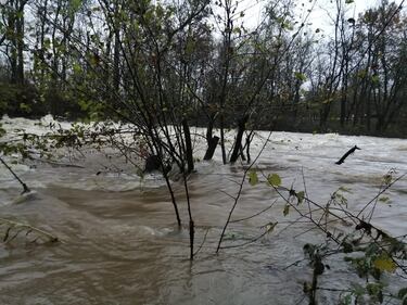 Maltempo Piemonte: fiumi in piena e frane 5