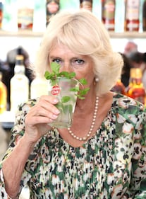 Camilla Parker Bowles e il Principe Carlo: le foto nei Caraibi 4