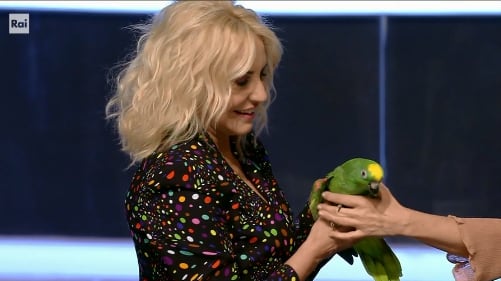 Portobello, polemiche sul pappagallo del programma di Antonella Clerici