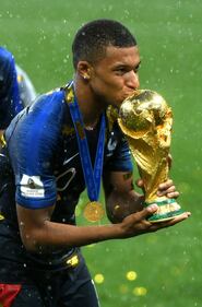 La Francia solleva la Coppa del Mondo: tutte le foto della festa  18