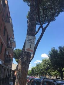 La moschea della Cecchignola 4