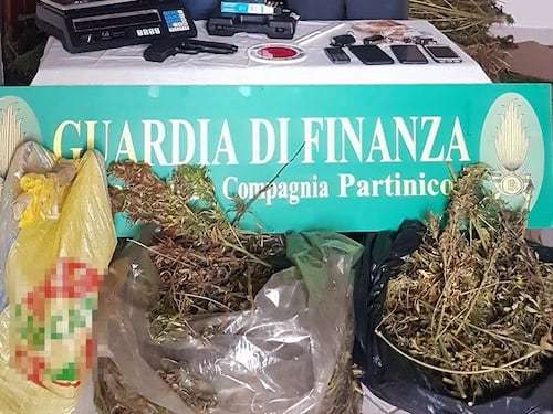 Maxi blitz antidroga, sequestrata marijuana per oltre 1 milione di euro