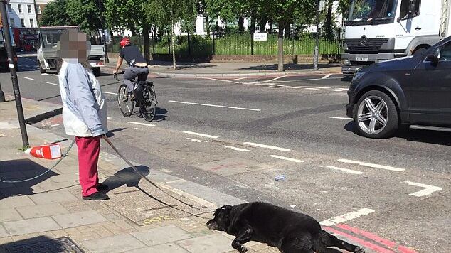 Londra, donna trascina col guinzaglio il cadavere del suo cane