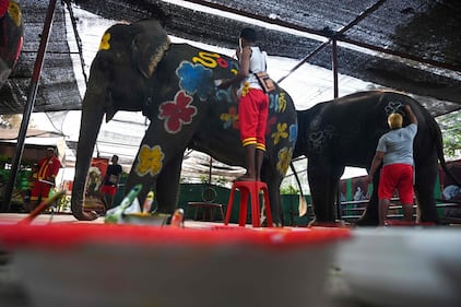 In Thailandia si festeggia il Songkran Festival 7