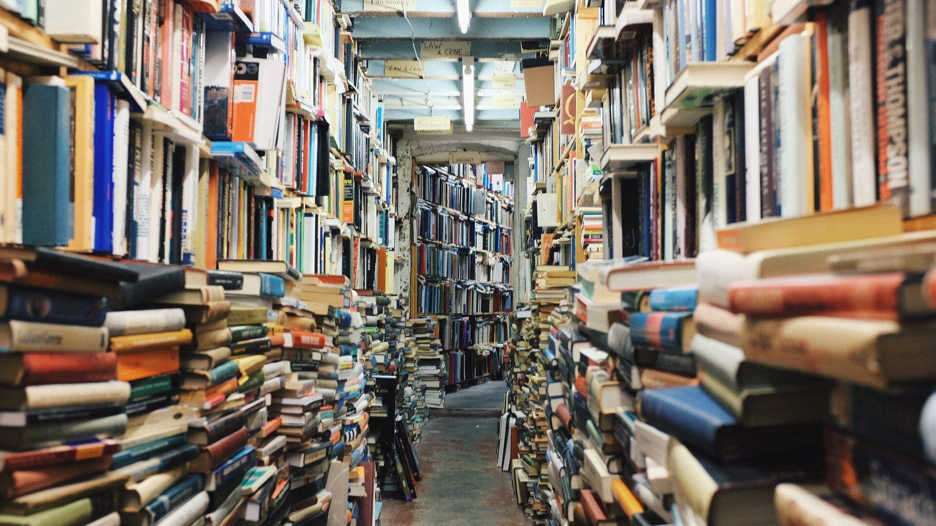 Come mettere in (dis)ordine i libri? Con insolenza, audacia, spazio e pazienza