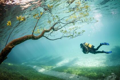 Dall'Austria arriva il mondo subacquo 11
