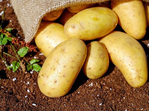 Dieta della patata, come perdere cinque chili in tre giorni