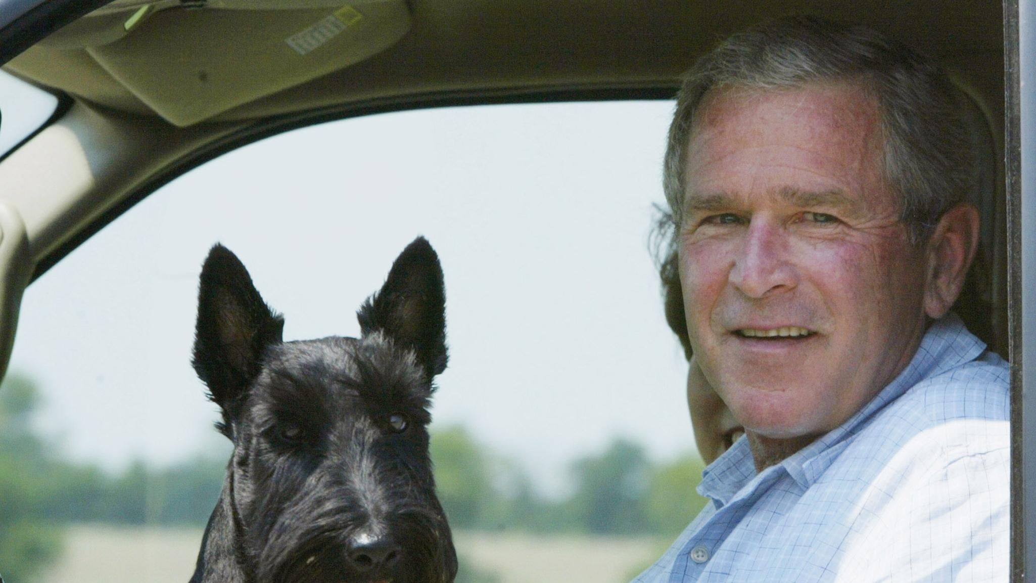 La profezia di Bush: "Al Qaeda vuole un califfato in Irak"