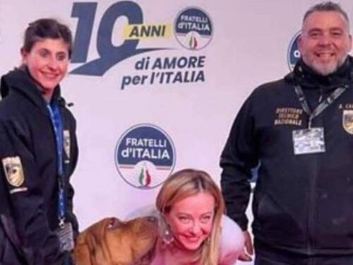 "Atto vile, codardo, disumano". Meloni affranta per il cane-eroe ucciso da un wurstel