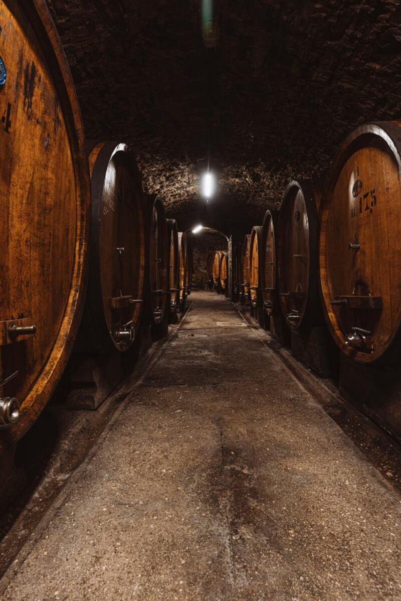 Castello di Cacchiano cantina
