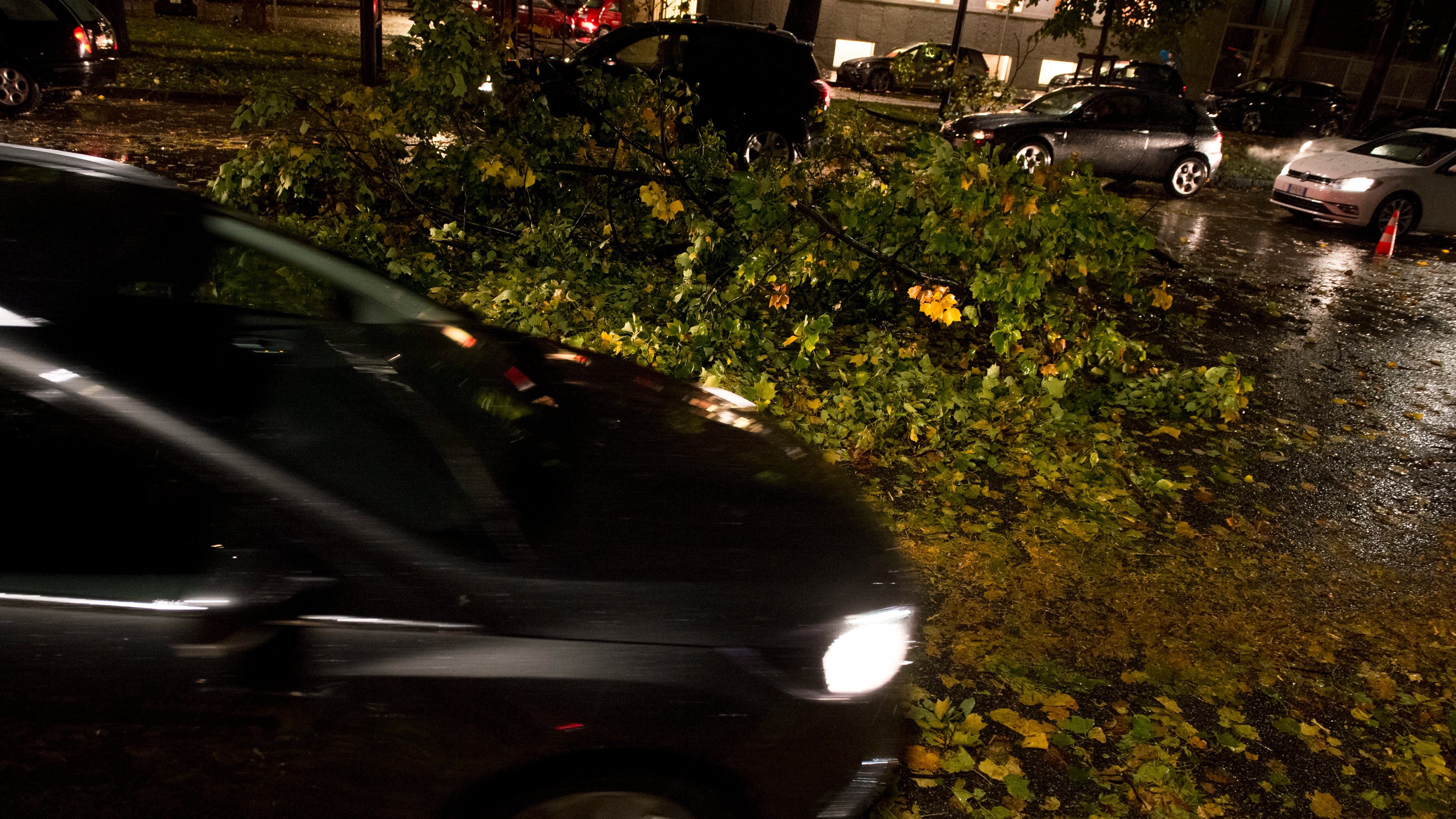 Gli alberi volano sulle auto. Otto morti per il maltempo