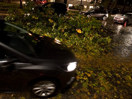 Maltempo, allerta in tutta Italia 6 morti sotto alberi e cornicioni