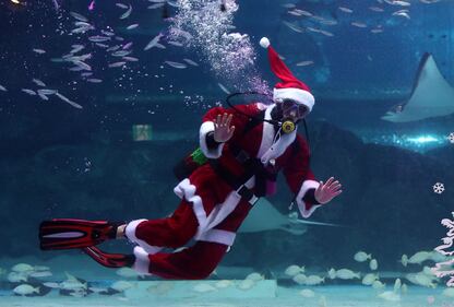 Babbo Natale sott'acqua, con i pesci di Seul 3