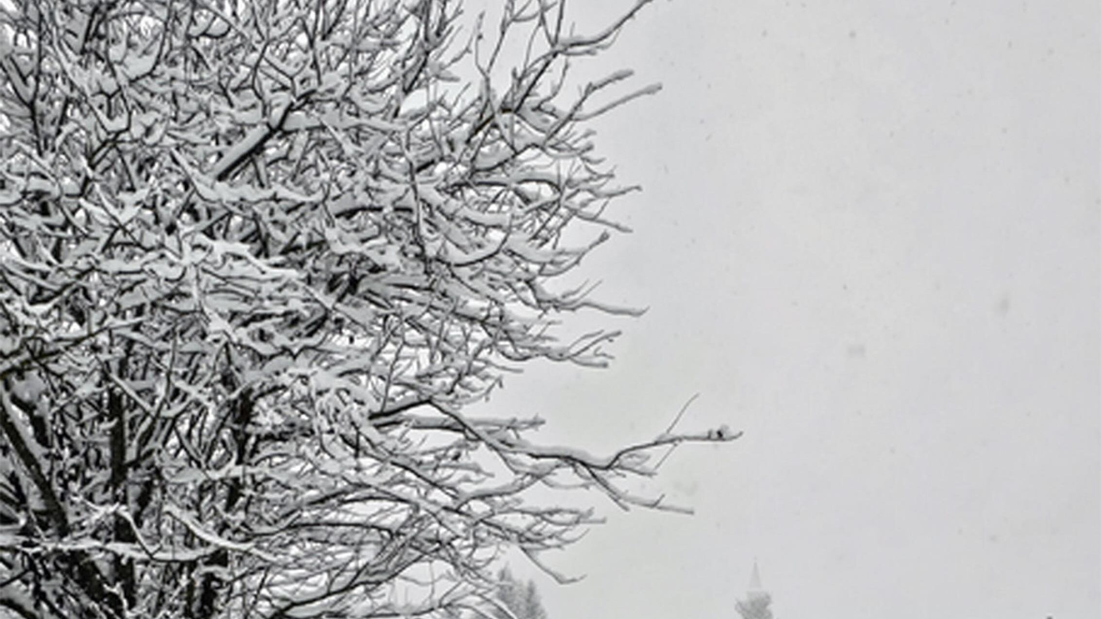"Aspettatevi un inverno completamente diverso": la profezia di Giuliacci sul meteo