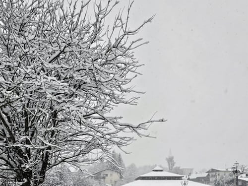 "Aspettatevi un inverno completamente diverso": la profezia di Giuliacci sul meteo