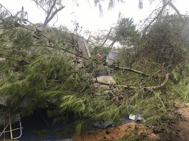 Veneto colpito dal maltempo: alberi sradicati in un campeggio 7