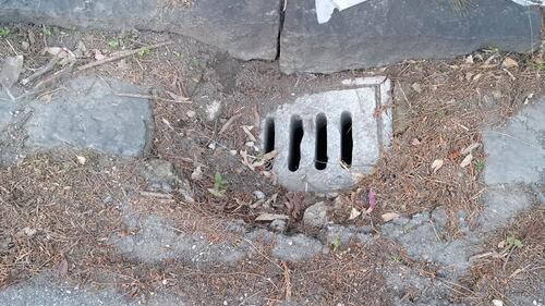 Napoli, l'abbandono di Agnano 4