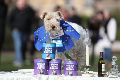 I cani e la Brexit: la manifestazione a Londra  1