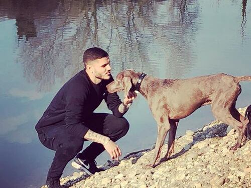 Inter, Icardi in lutto: è morto il cane Coco. Tifosi divisi sui social
