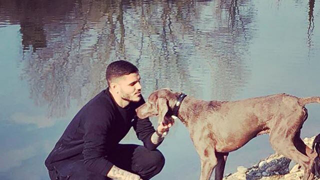 Inter, Icardi in lutto: è morto il cane Coco. Tifosi divisi sui social